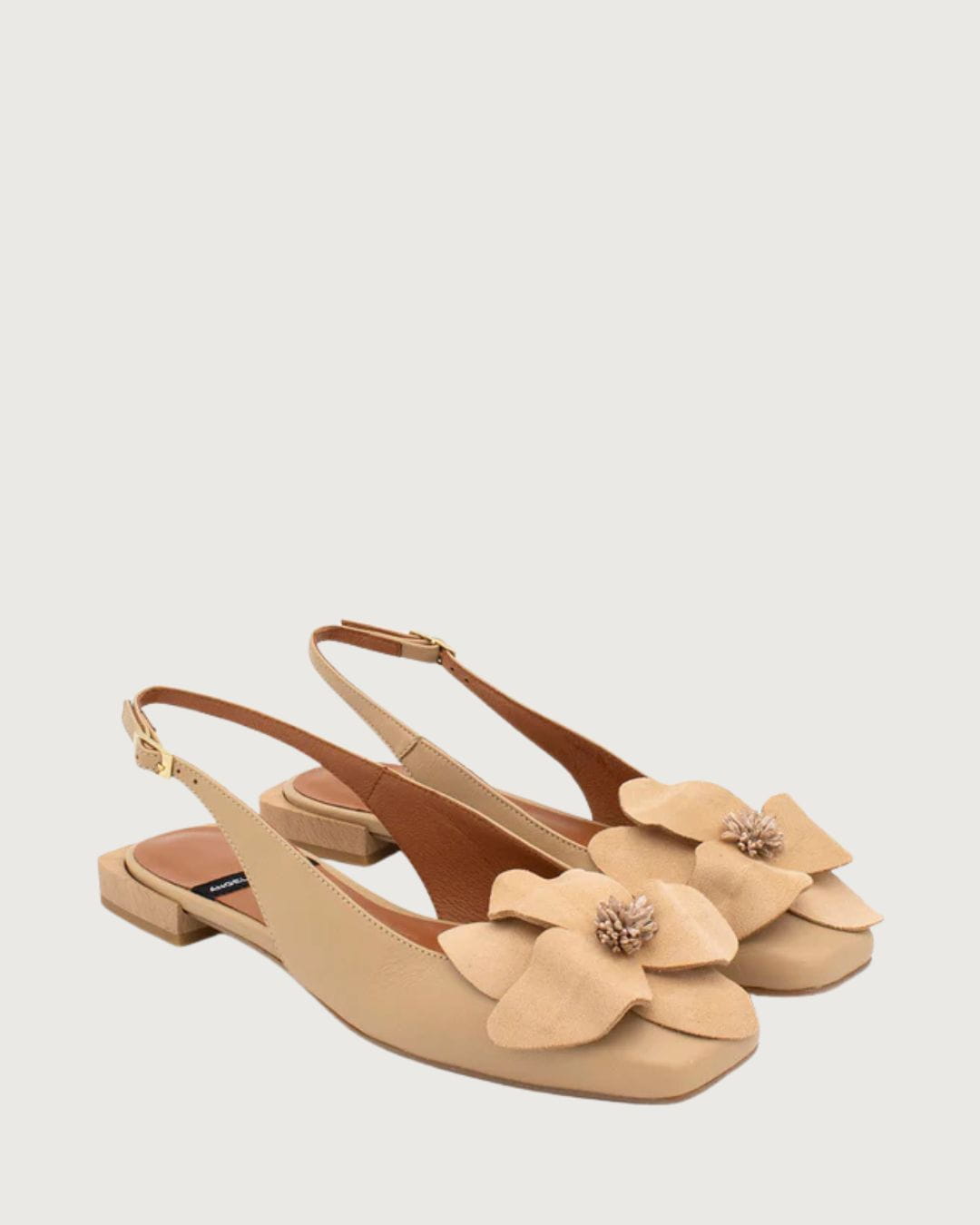 Bailarina destalonada Ángel Alarcón