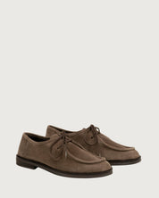 Blucher Belina Gaimo
