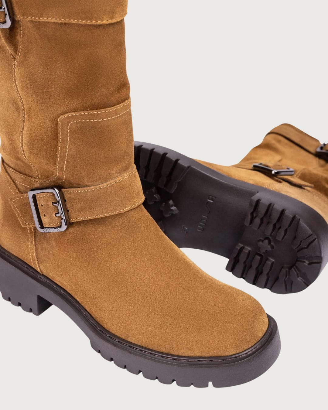Bota Gensis Unisa