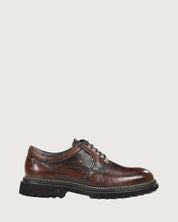 Blucher Lincon Fluchos