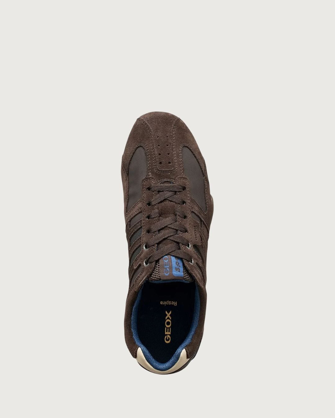 Zapatilla Snake Geox para hombre