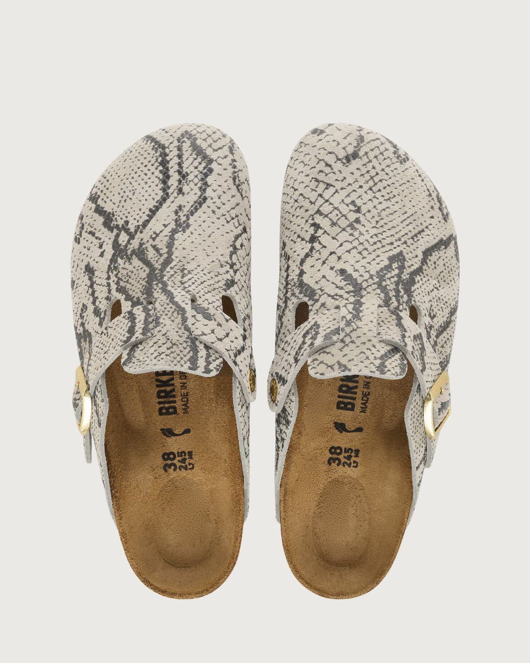 Zueco Birkenstock Boston Snake Oyster